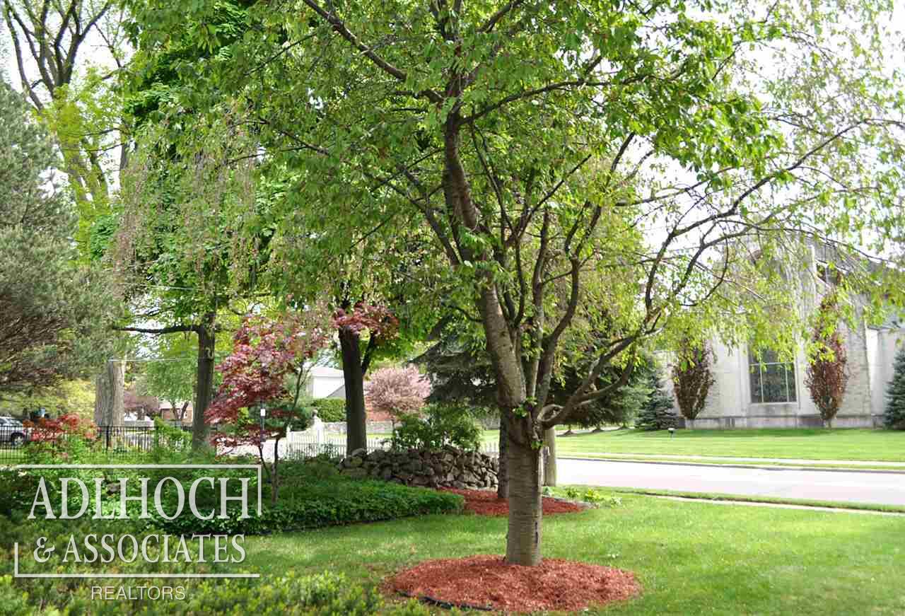 204 Moross Road Grosse Pointe Farms, MI 48236 - Photo 17 of 18