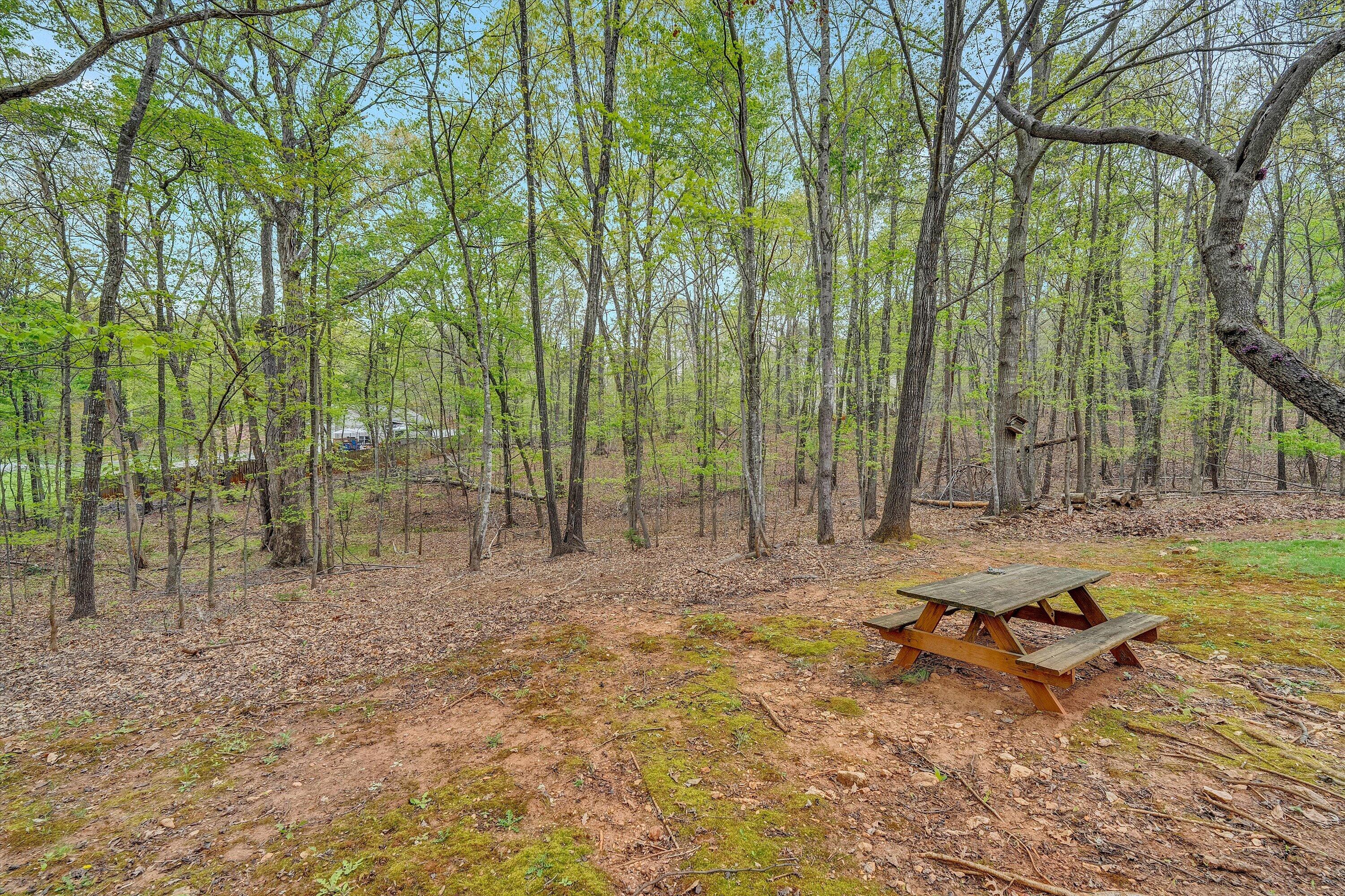 1681 Diamond Hill Road Moneta, VA 24121 - Photo 43 of 47 1681 Diamond Hill Road (4)
