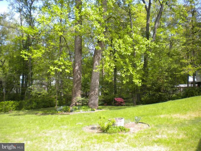 7922 Belgaro Road Laurel, MD 20723 - Photo 17 of 27 Back yard