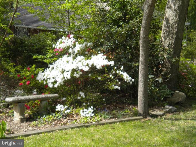 7922 Belgaro Road Laurel, MD 20723 - Photo 21 of 27 Exterior #3