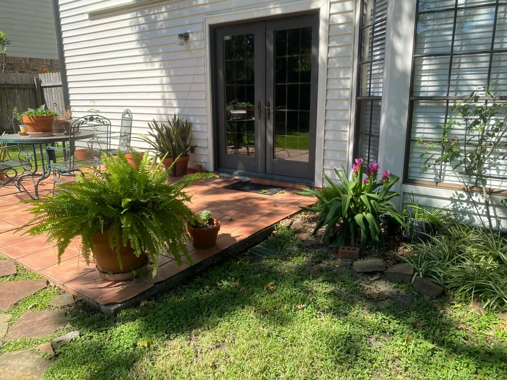 1102 Mabry Mill Road Houston, TX 77062 - Photo 24 of 43 Waiting for spring