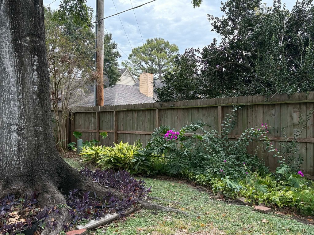 1102 Mabry Mill Road Houston, TX 77062 - Photo 25 of 43 Spring time