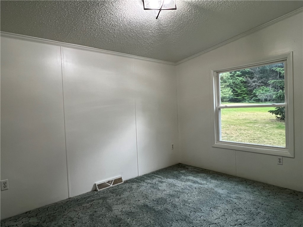 424 Parrott Road Cayuta, NY 14824 - Photo 24 of 33
