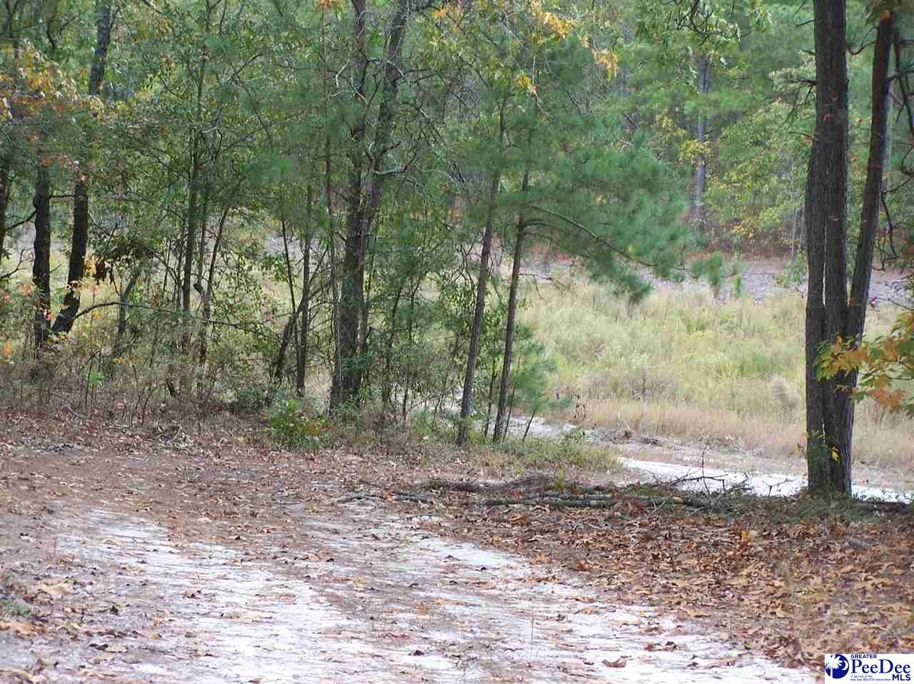 654 Union School Road McBee, SC 29101 - Photo 1 of 1 Gallery Image 1
