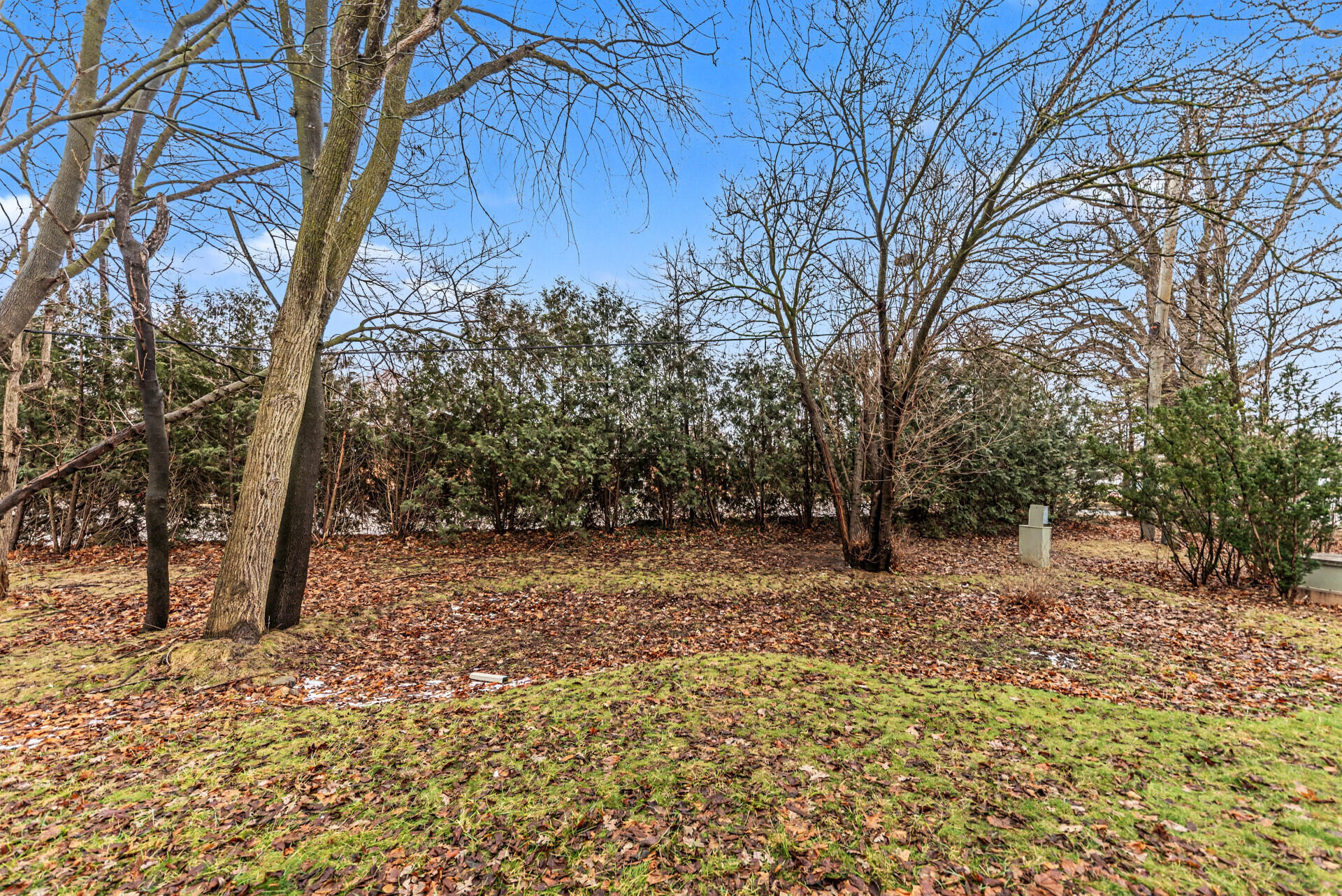 2965 Kimberley Road Ann Arbor, MI 48104 - Photo 3 of 46 002_48