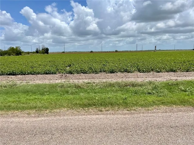 a view of a pathway with a big yard