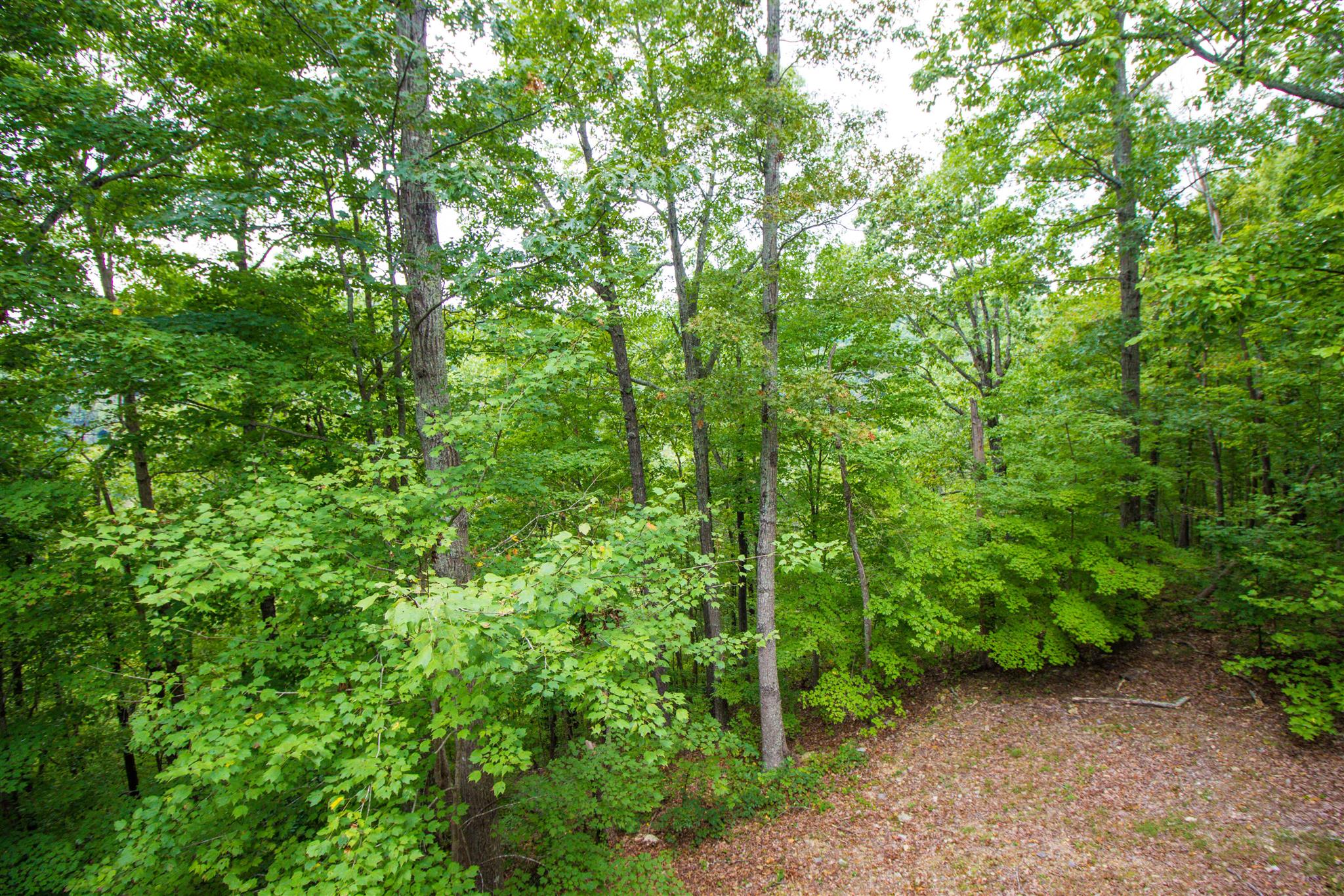 553 Rocky Top Road Sparta, TN 38583 - Photo 15 of 30 Gallery Image 15