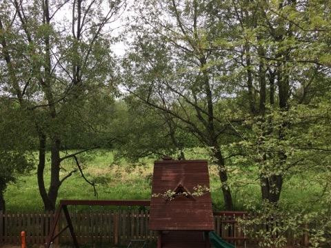 3728 Ridgeview Way Lexington, KY 40509 - Photo 6 of 8 Photo 6