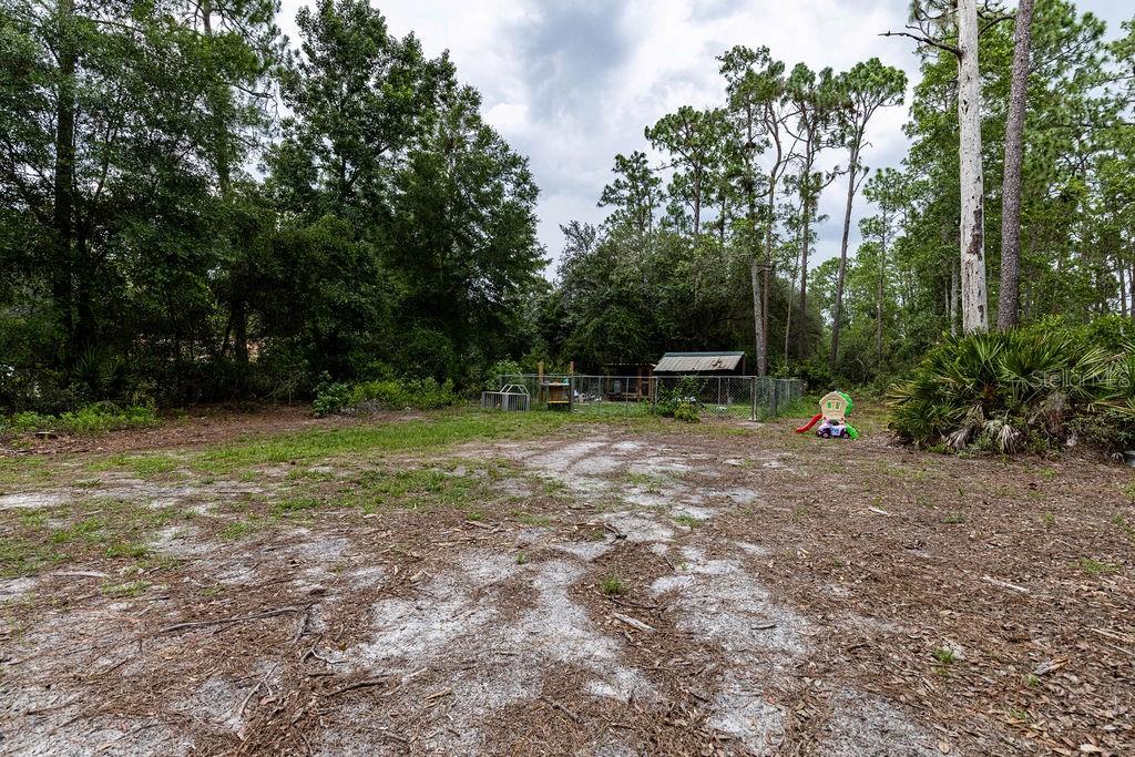 24821 Old Deer Road Paisley, FL 32767 - Photo 34 of 43