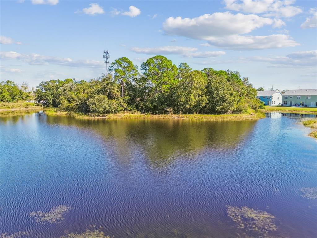 11651 Declaration Drive Tampa, FL 33635 - Photo 42 of 43