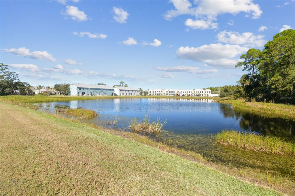 11651 Declaration Drive Tampa, FL 33635 - Photo 43 of 43