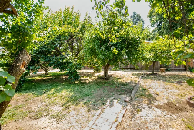 a view of yard with trees