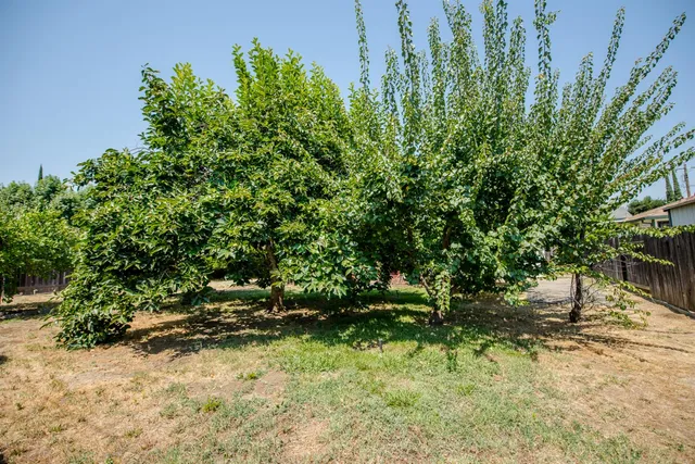a backyard of a house with lots of green space