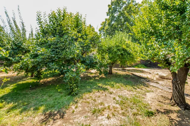 a view of yard with green space