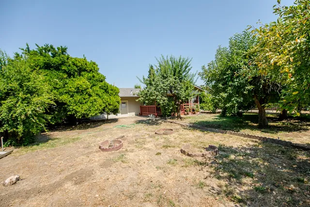 a view of a yard with plants and trees