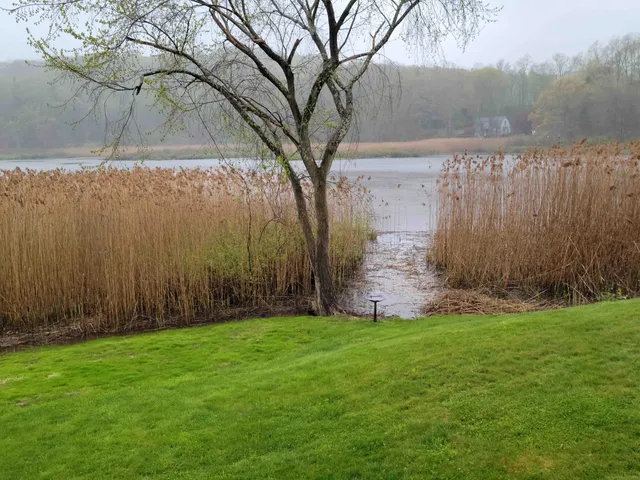 a view of a back yard