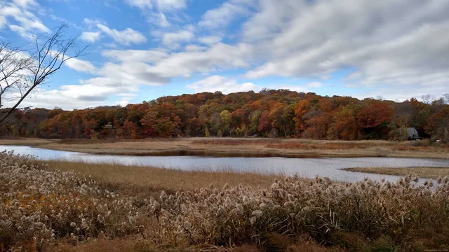 a view of lake with mountain