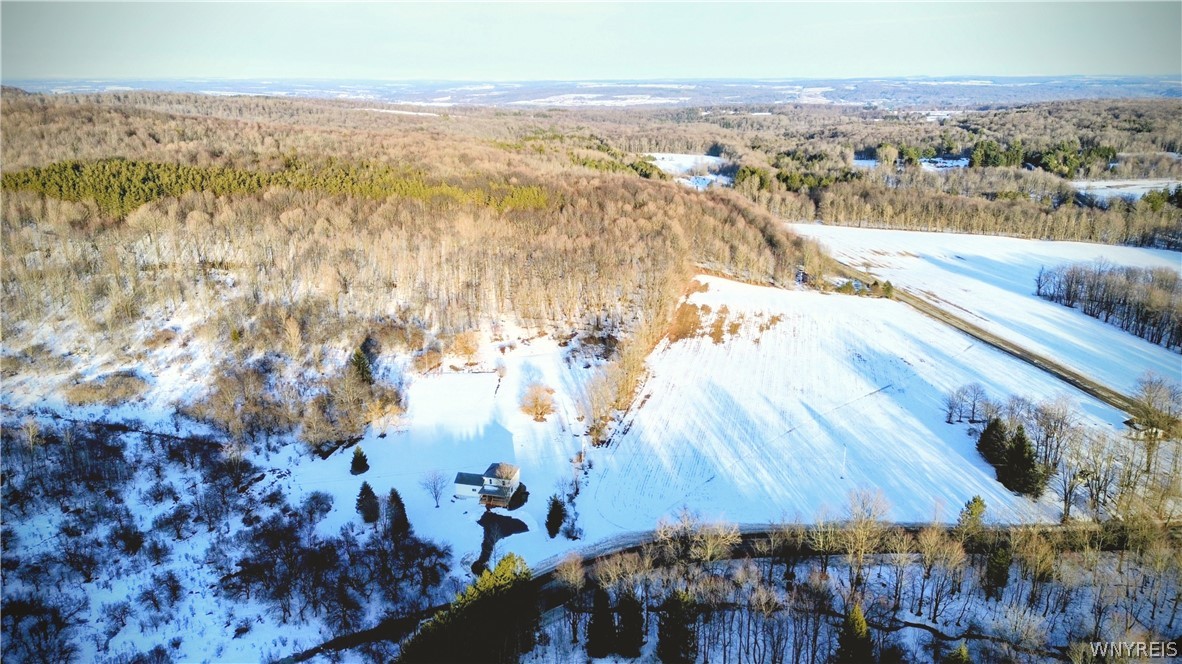 4282 Gun Barrel Road Delevan, NY 14042 - Photo 33 of 35