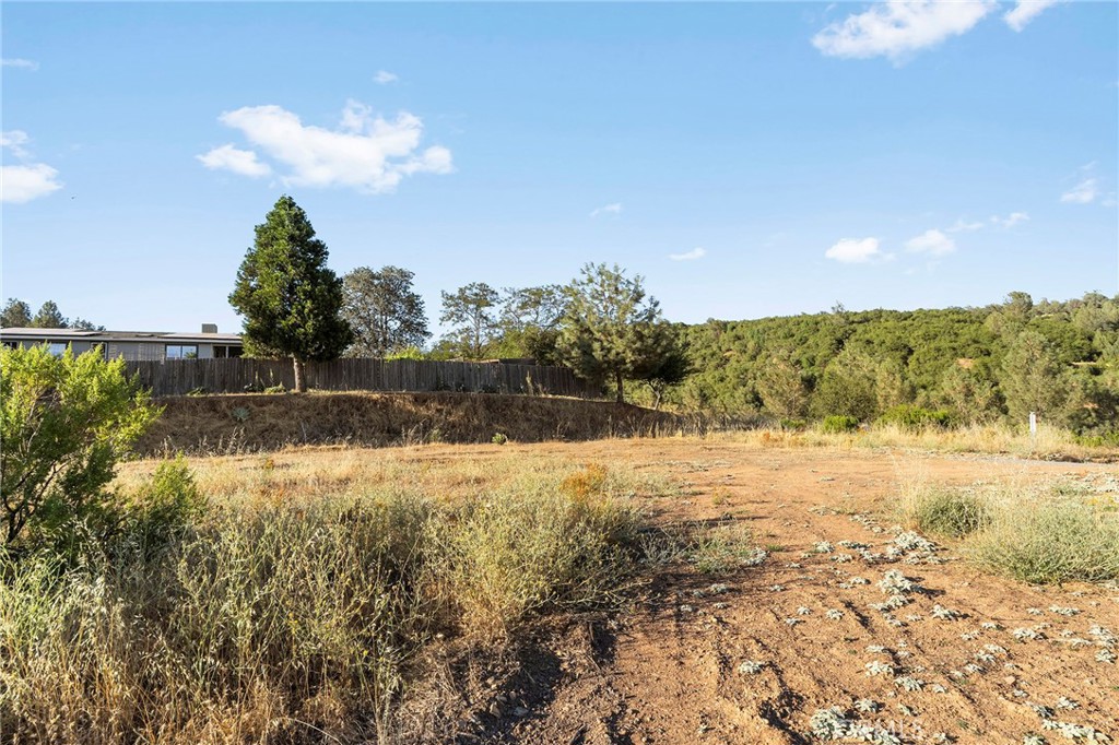 10761 Red Eye Road Oroville, CA 95965 - Photo 4 of 21