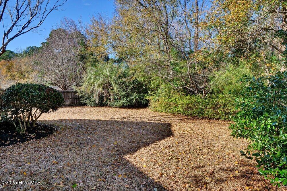 207 Olde Well Loop Road Wilmington, NC 28411 - Photo 26 of 43 026_p2911742_848