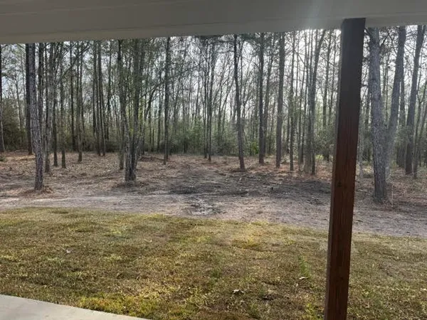 a view of backyard with green space