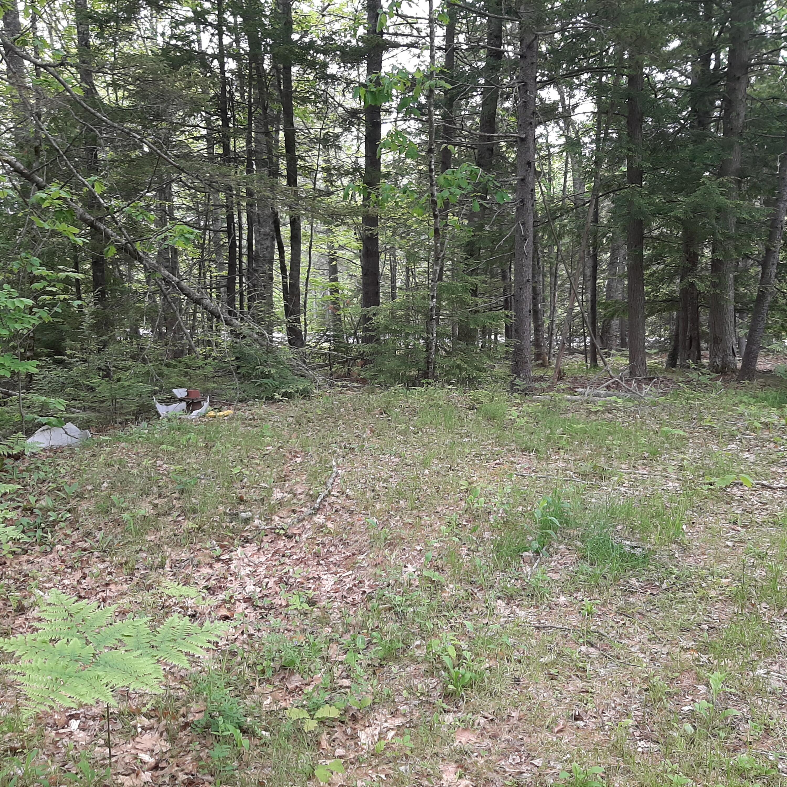 1349 Manktown Road Waldoboro, ME 04572 - Photo 1 of 4 20210603_143213