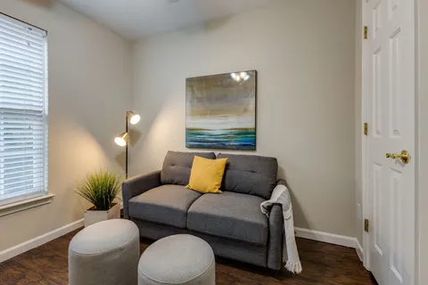 a living room with furniture and a potted plant