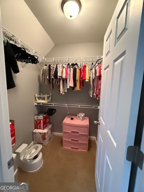 290 Eli Knob Road Dahlonega, GA 30533 - Photo 54 of 87