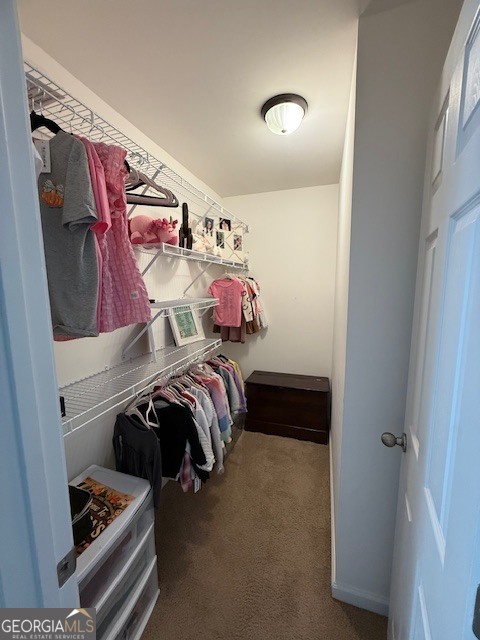 290 Eli Knob Road Dahlonega, GA 30533 - Photo 62 of 87