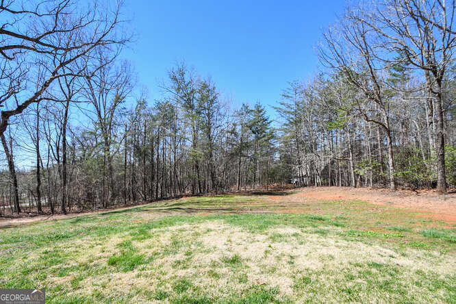 290 Eli Knob Road Dahlonega, GA 30533 - Photo 75 of 87 a backyard of apartments with large trees