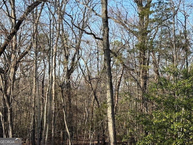 290 Eli Knob Road Dahlonega, GA 30533 - Photo 80 of 87