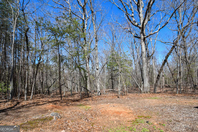 290 Eli Knob Road Dahlonega, GA 30533 - Photo 81 of 87 a view of a yard covered with snow in the yard