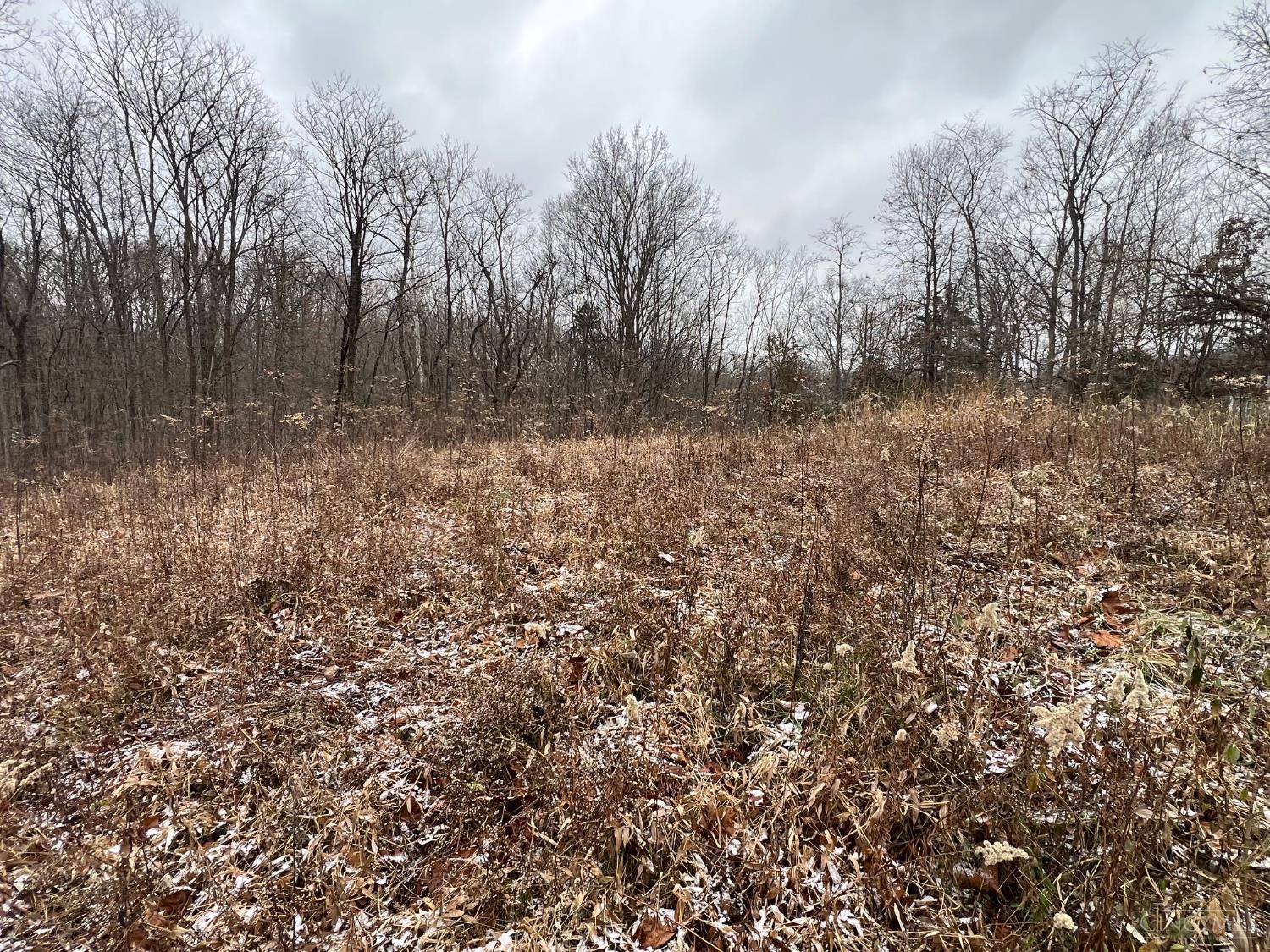 Lot #1 Middleboro Road Clarksville, OH 45113 - Photo 11 of 14