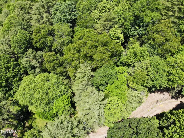 $25,100 | 0 Woodchuck Way, Unit 21, Mountain City, TN 37683