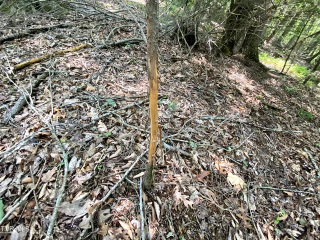 $25,100 | 0 Woodchuck Way, Unit 21, Mountain City, TN 37683