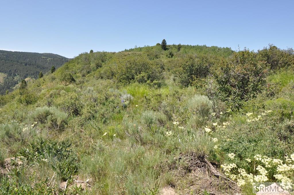 Lot 4 Wagon Road Ririe, ID 83443 - Photo 11 of 14