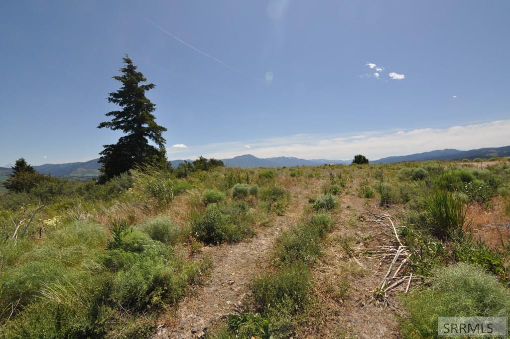 Lot 4 Wagon Road Ririe, ID 83443 - Photo 12 of 14