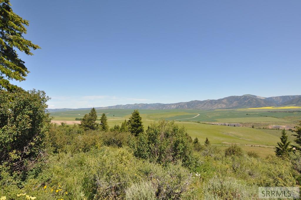 Lot 4 Wagon Road Ririe, ID 83443 - Photo 13 of 14