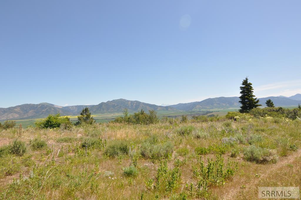 Lot 4 Wagon Road Ririe, ID 83443 - Photo 6 of 14