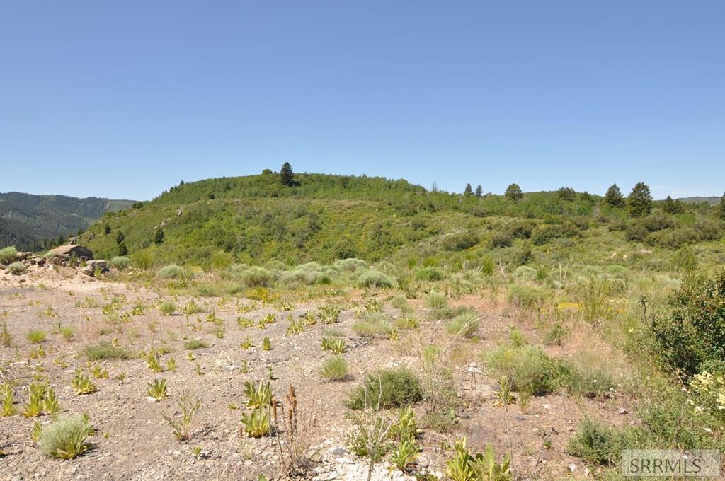 Lot 4 Wagon Road Ririe, ID 83443 - Photo 7 of 14