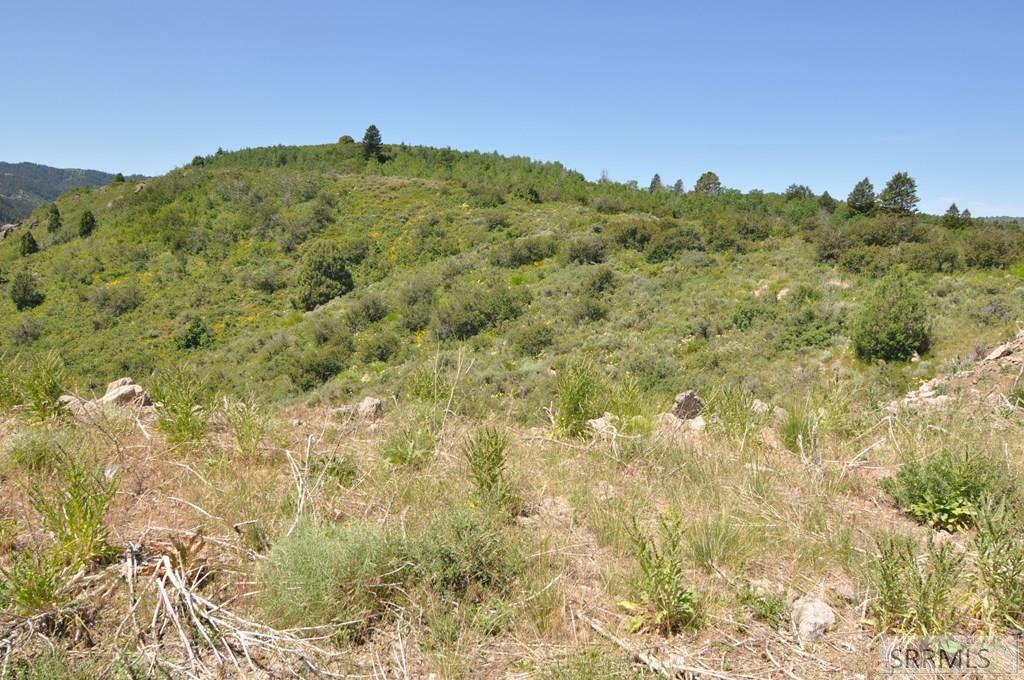 Lot 4 Wagon Road Ririe, ID 83443 - Photo 8 of 14
