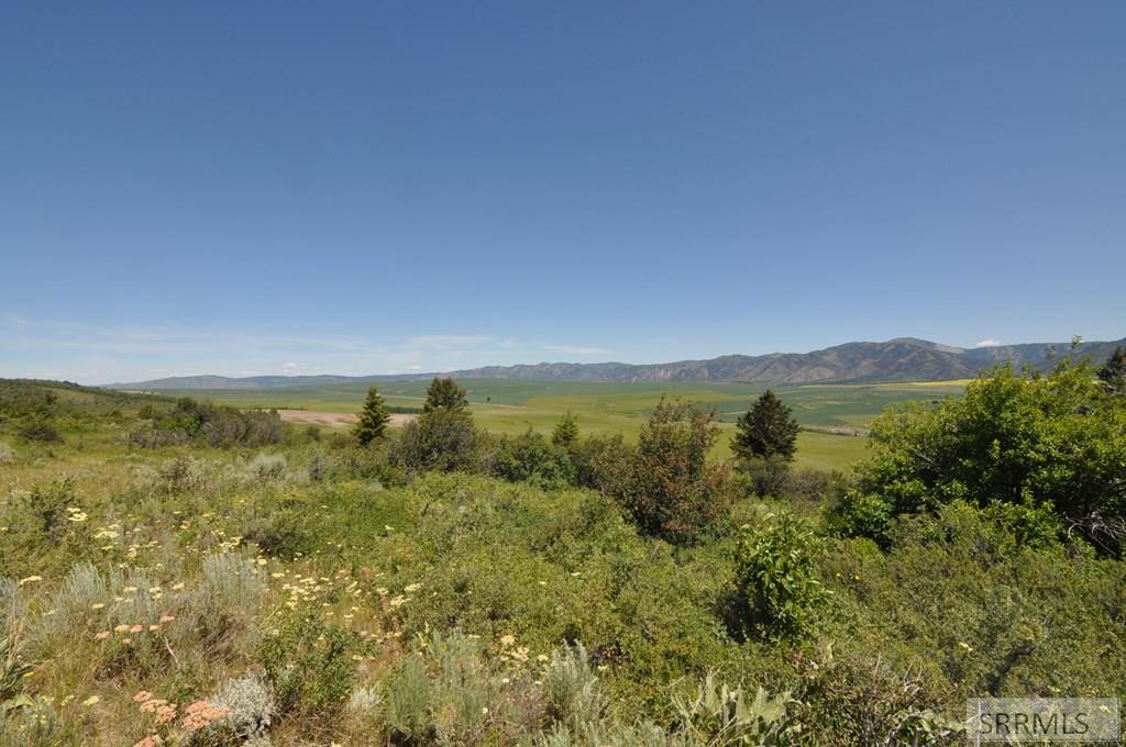 Lot 4 Wagon Road Ririe, ID 83443 - Photo 9 of 14