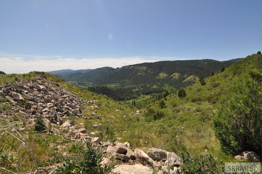 Lot 4 Wagon Road Ririe, ID 83443 - Photo 10 of 14