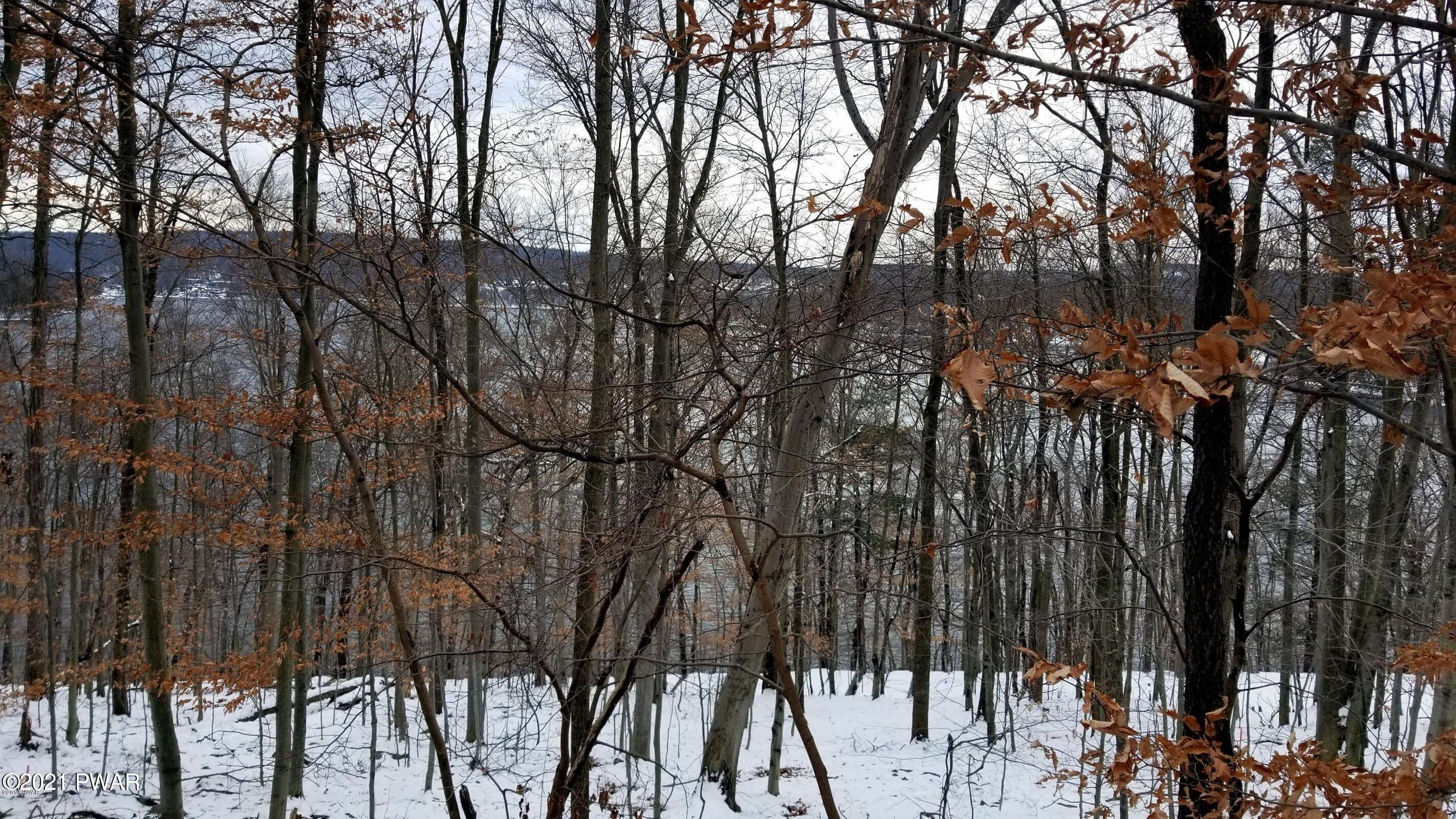 8 Boat House Road Lake Ariel, PA 18436 - Photo 4 of 6