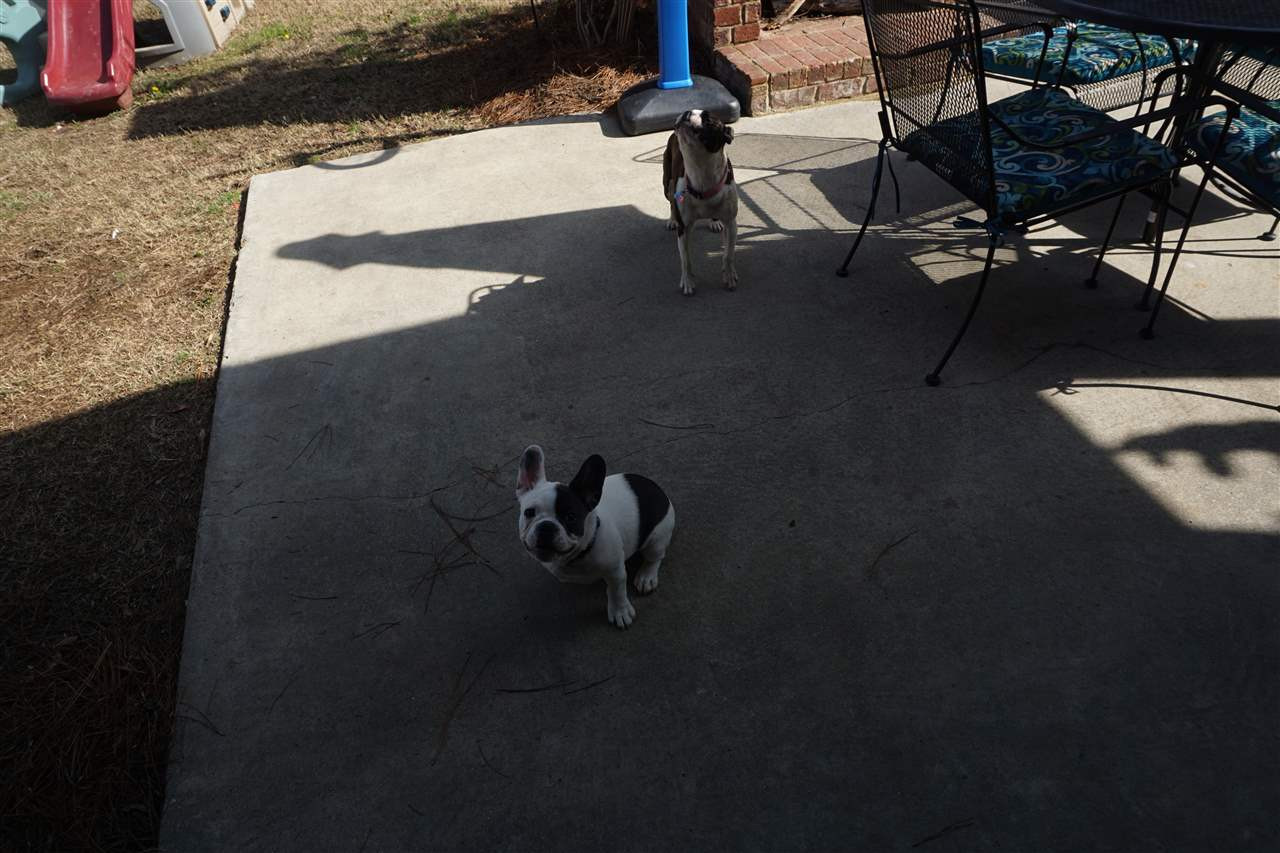 586 Turtle Lane Brandon, MS 39047 - Photo 25 of 27 Photo 25