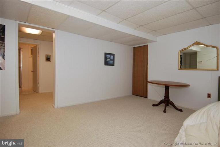 5909 Plainview Road Bethesda, MD 20817 - Photo 12 of 23 Recreation Room