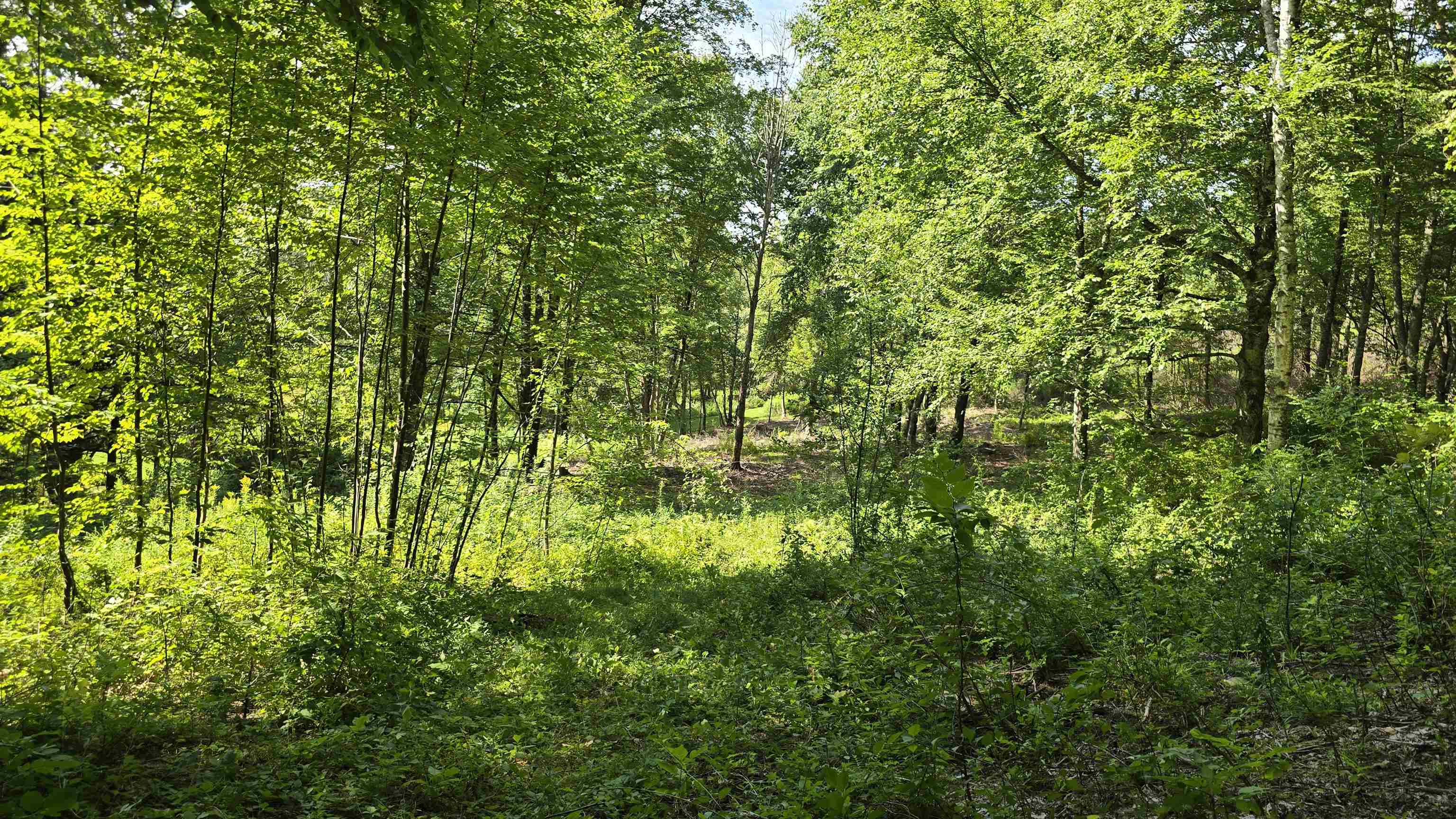284 Elm Hill Street Springfield, VT 05156 - Photo 36 of 46 Gallery Image 36