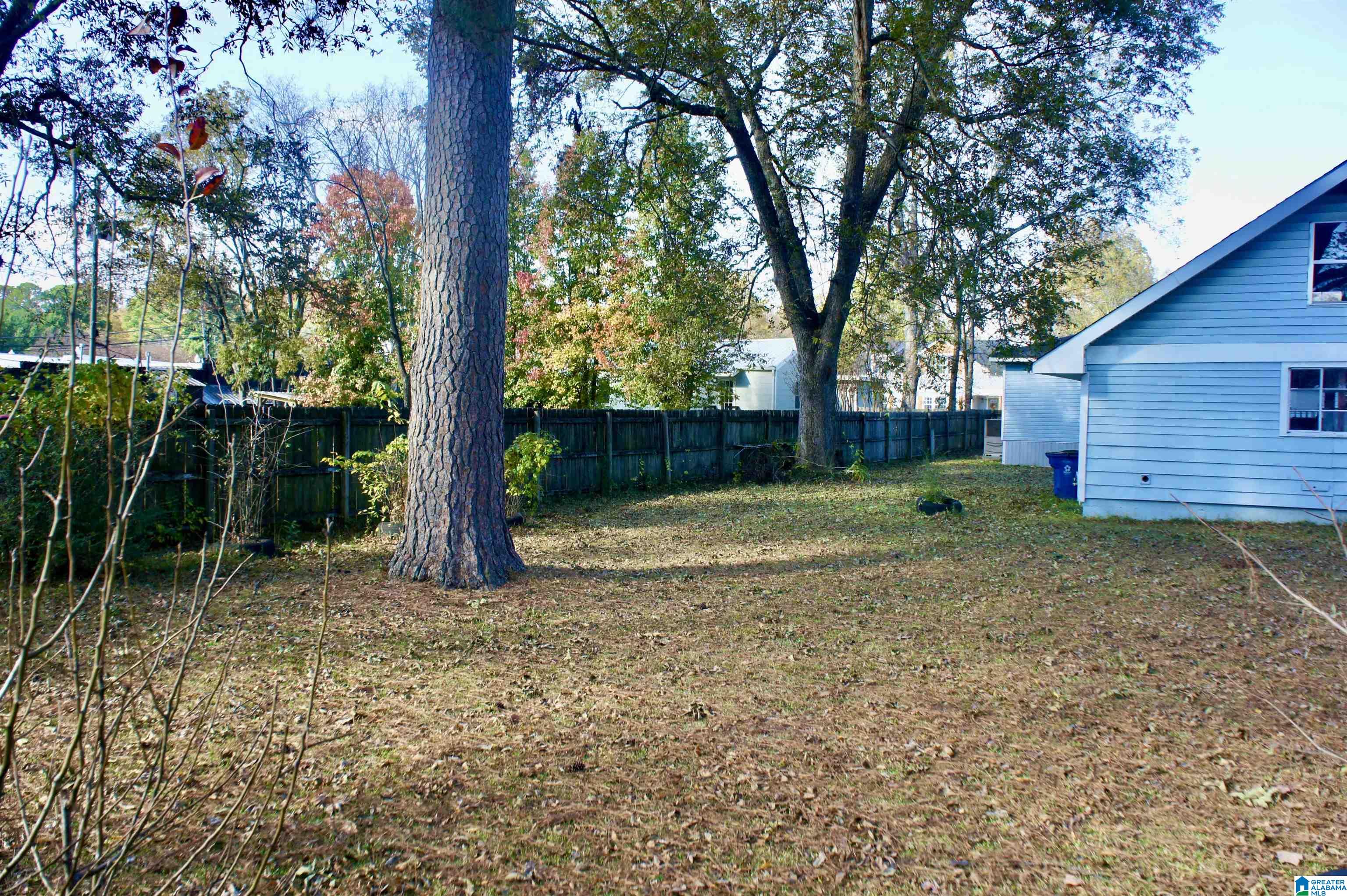 113 Raleigh Avenue Birmingham, AL 35209 - Photo 3 of 17