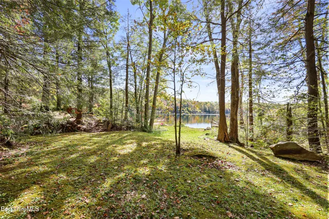a view of a lake with houses in the back