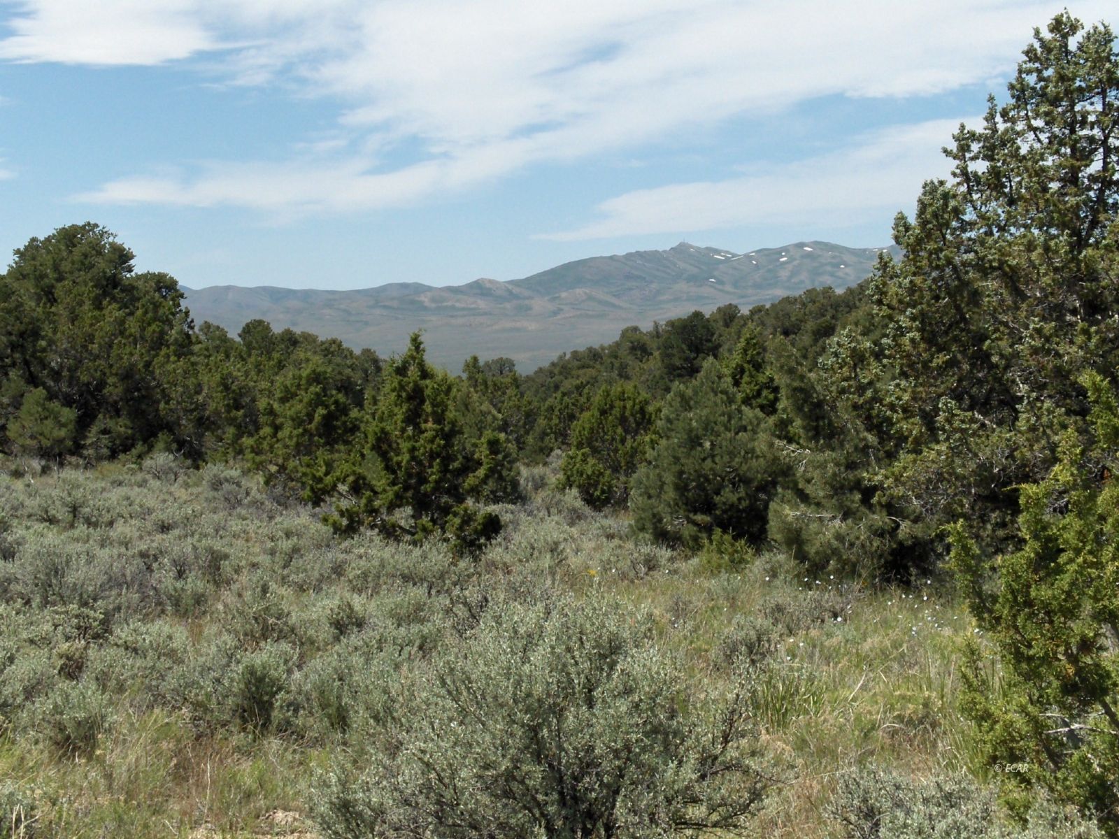 5 Twp 38n Rge 67e Montello, NV 89830 - Photo 1 of 4